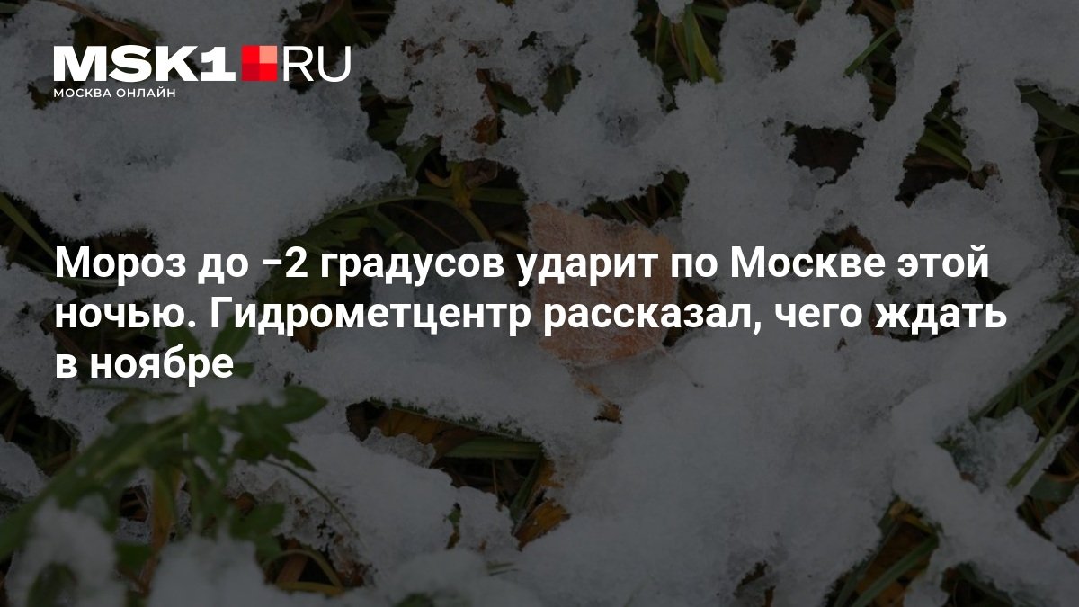 Ночью в Москве ударят заморозки до −2 градусов, но днём воздух прогреется до +12