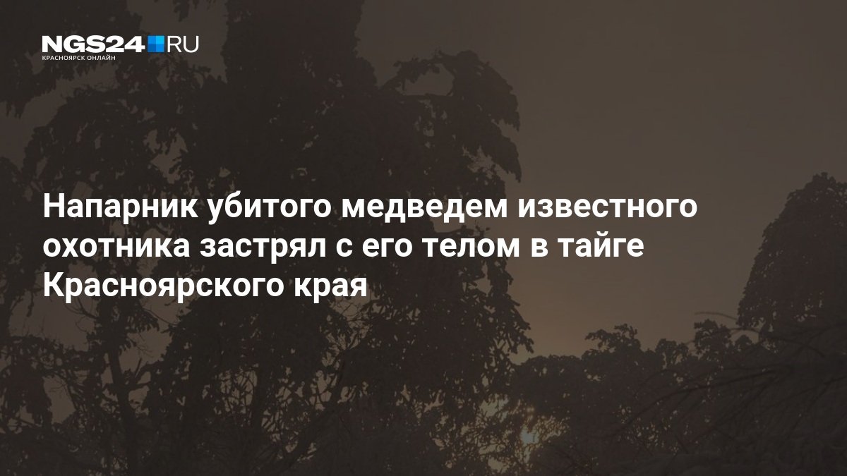 Напарник убитого медведем охотника застрял с его телом в тайге Красноярского края