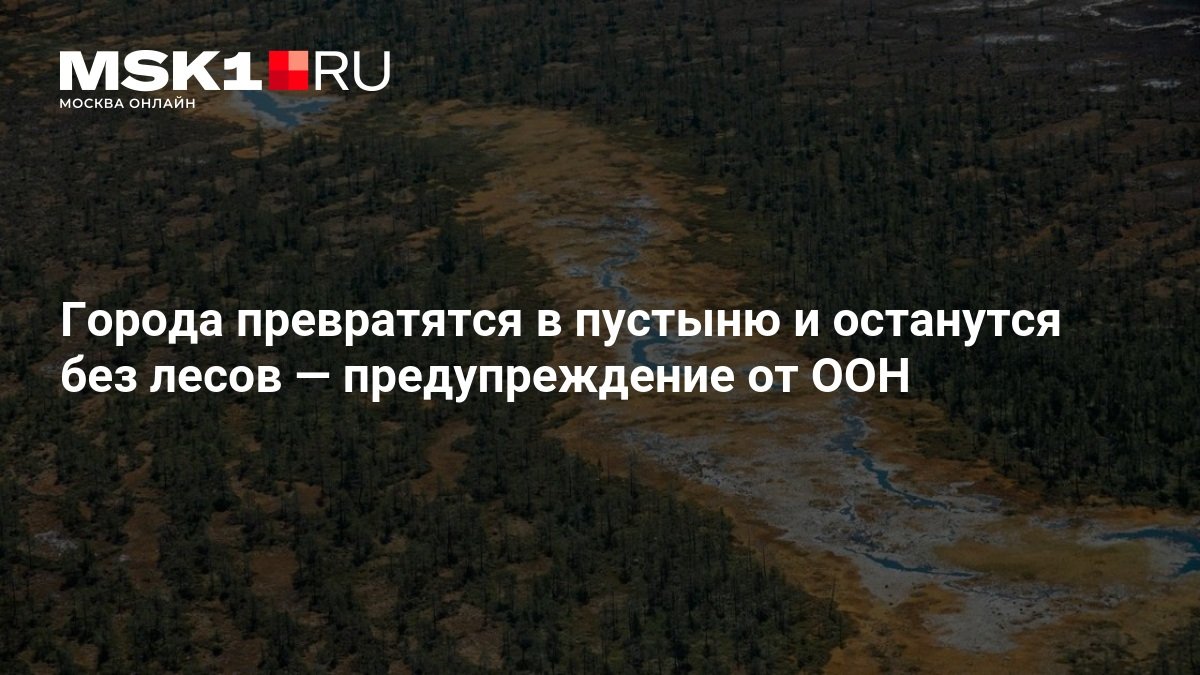 ООН предупредила об угрозе опустынивания в Сибири и на юге России