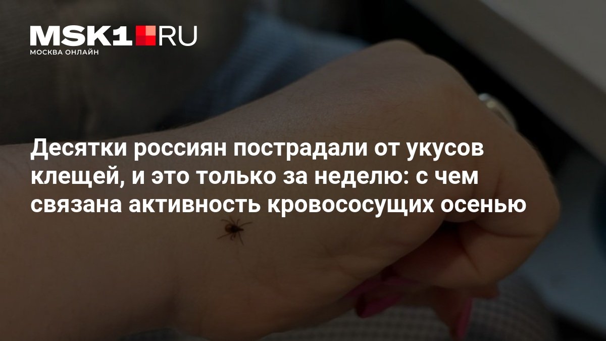 В Рязанской области за неделю клещи покусали 74 человека, включая 18 детей